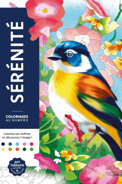 Coloriage Adulte Disney Pixar Pop-Art : Affiches de Collection