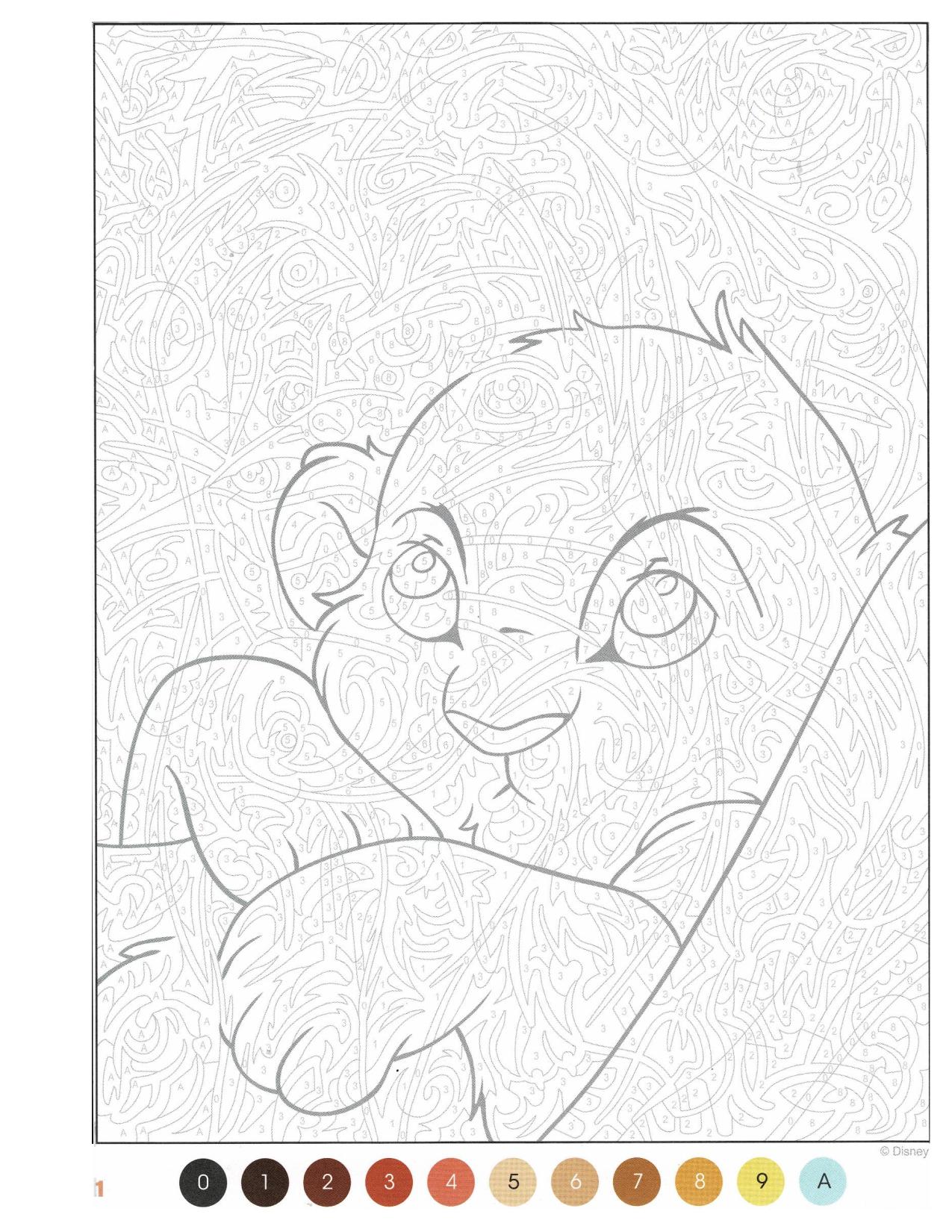 Coloriage Disney Mystère Trompe L'Oeil : Livre Qui Suis-Je ? à Révéler – Image 6