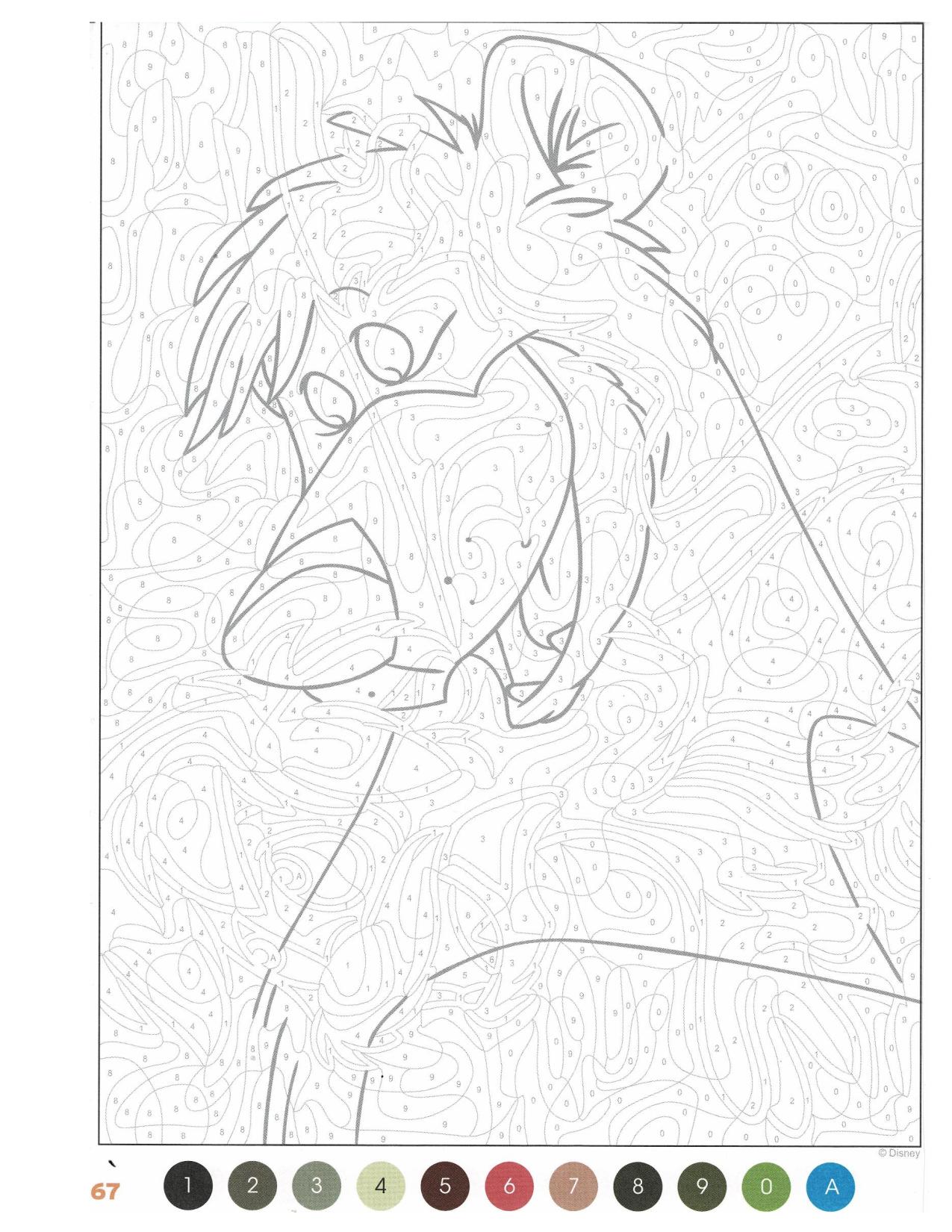 Coloriage Disney Mystère Trompe L'Oeil : Livre Qui Suis-Je ? à Révéler – Image 2